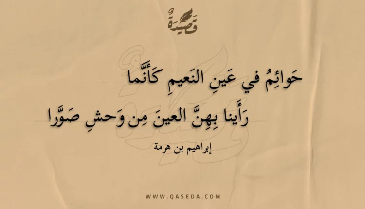 قصيدة حوائم في عين النعيم كأنما