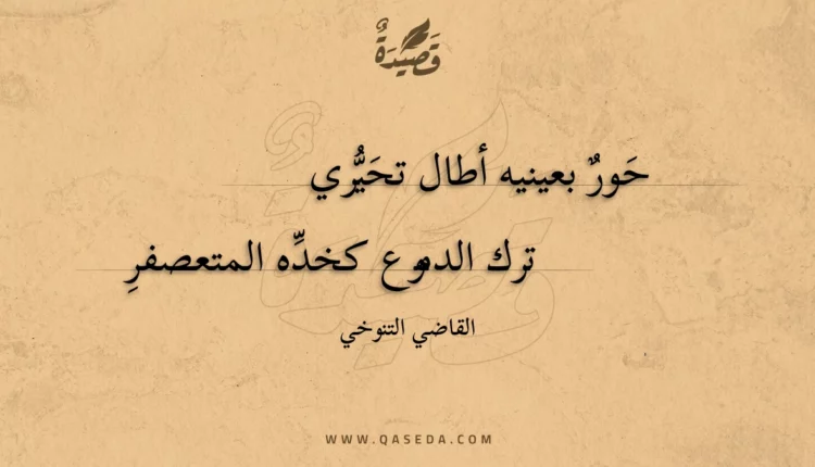 قصيدة حور بعينيه أطال تحيري