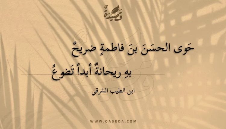 قصيدة حوى الحسن بن فاطمة ضريح
