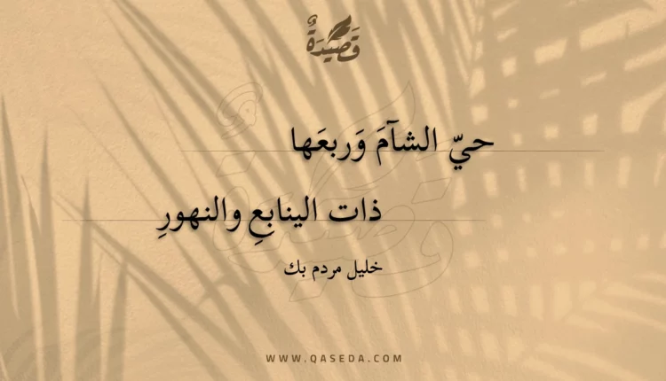 قصيدة حي الشآم وربعها