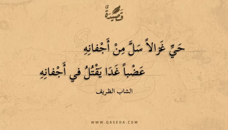 قصيدة حي غزالا سل من أجفانه