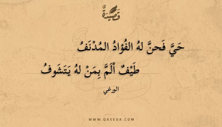 قصيدة حي فحن له الفؤاد المدنف