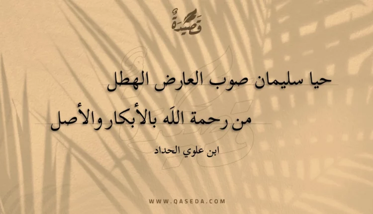 قصيدة حيا سليمان صوب العارض الهطل