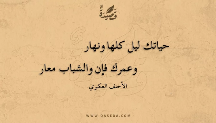 قصيدة حياتك ليل كلها ونهار