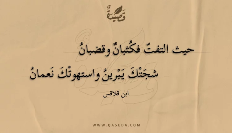 قصيدة حيث التفت فكثبان وقضبان