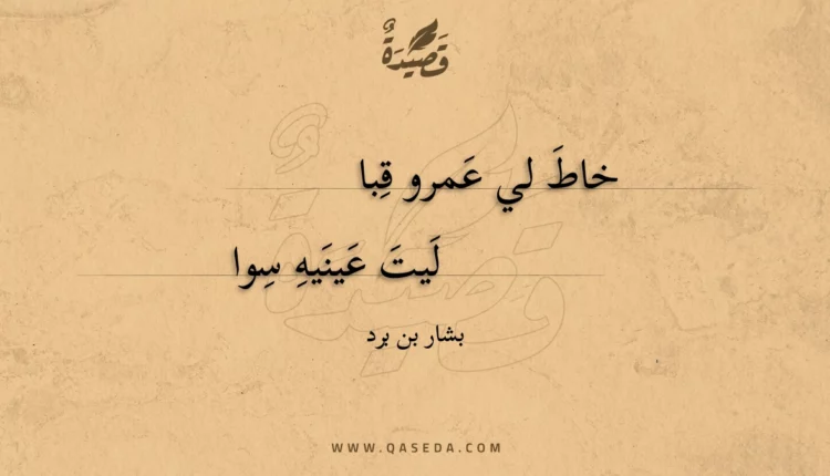 قصيدة خاط لي عمرو قبا