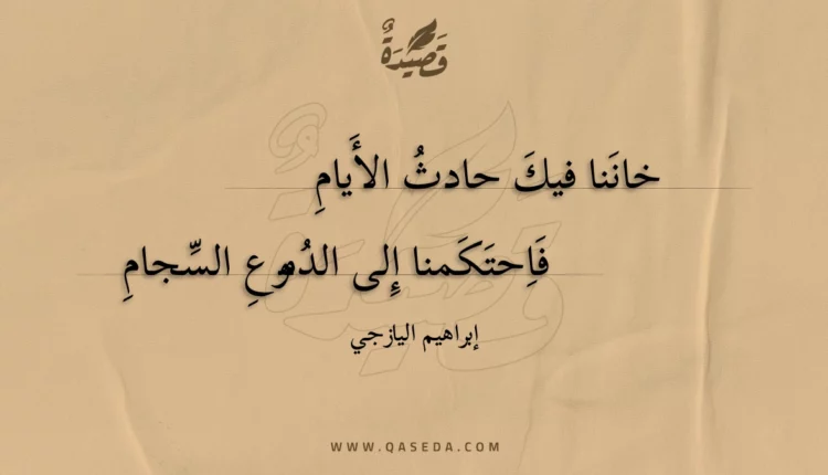 قصيدة خاننا فيك حادث الأيام