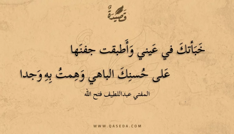 قصيدة خبأتك في عيني وأطبقت جفنها
