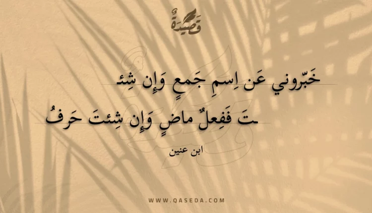 قصيدة خبروني عن اسم جمع وإن شئت