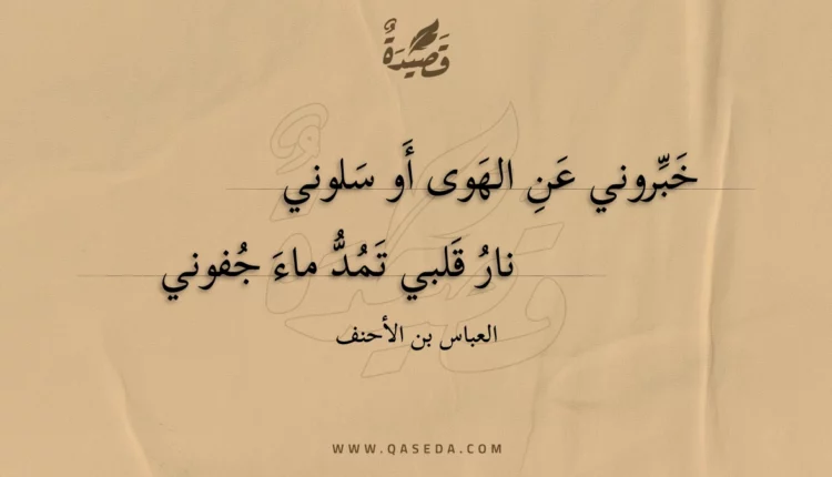 قصيدة خبروني عن الهوى أو سلوني