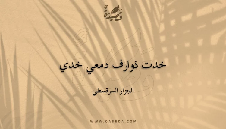 قصيدة خدت ذوارف دمعي خدي