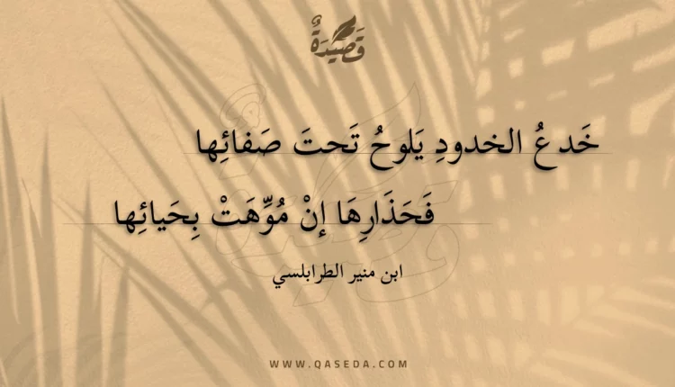 قصيدة خدع الخدود يلوح تحت صفائها