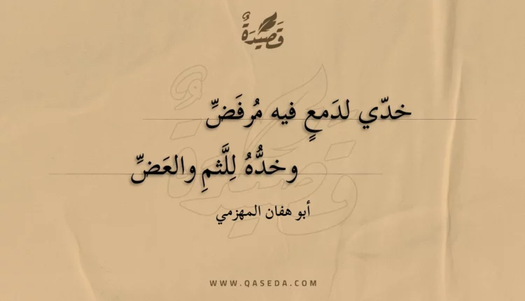 قصيدة خدي لدمع فيه مرفض