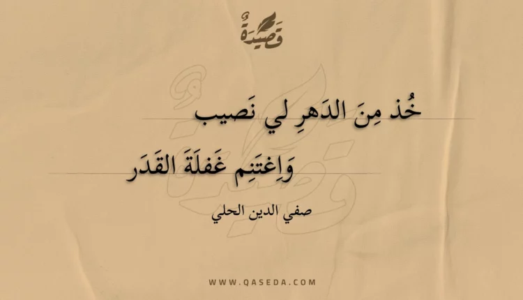 قصيدة خذ من الدهر لي نصيب