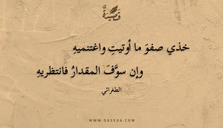 قصيدة خذي صفو ما أوتيت واغتنميه