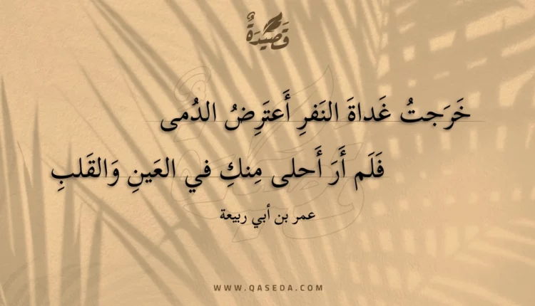 قصيدة خرجت غداة النفر أعترض الدمى