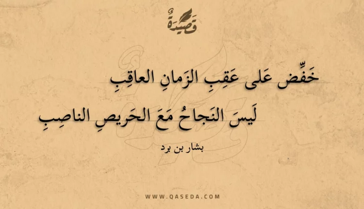 قصيدة خفض على عقب الزمان العاقب