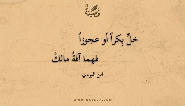 قصيدة خل بكرا أو عجوزا