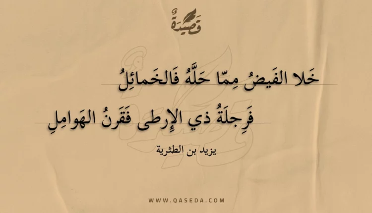 قصيدة خلا الفيض مما حله فالخمائل