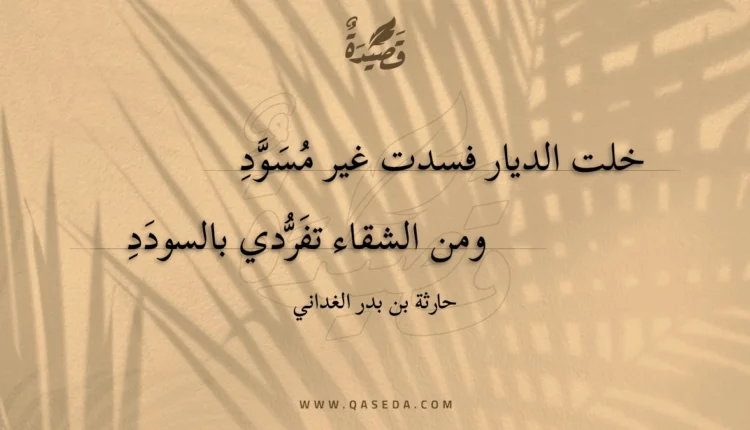 قصيدة خلت الديار فسدت غير مسود