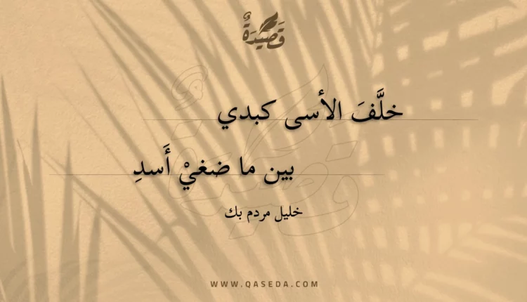 قصيدة خلف الأسى كبدي