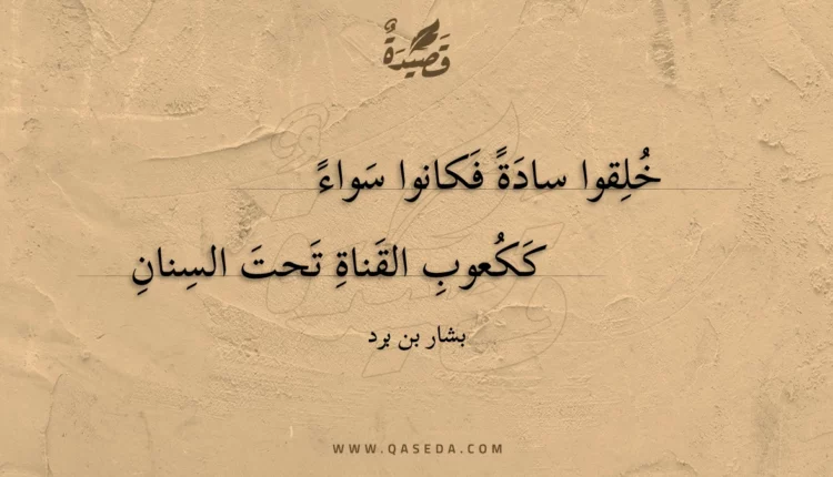 قصيدة خلقوا سادة فكانوا سواء