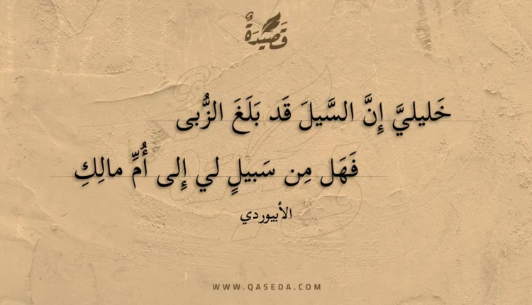 قصيدة خليلي إن السيل قد بلغ الزبى
