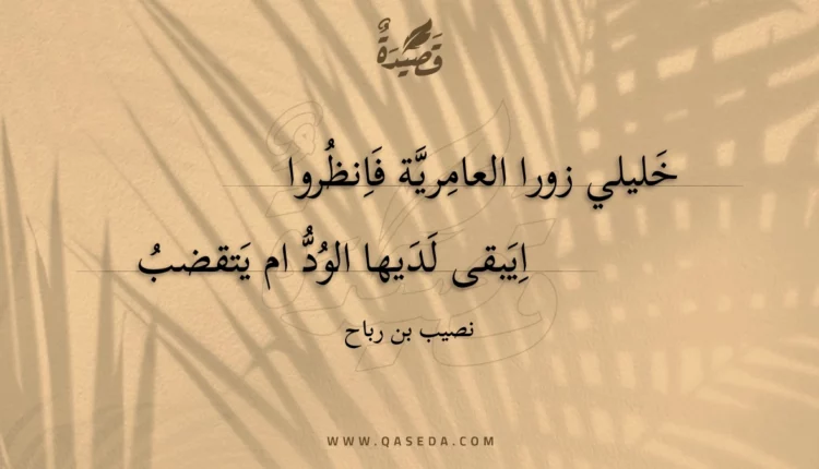 قصيدة خليلي زورا العامرية فانظروا