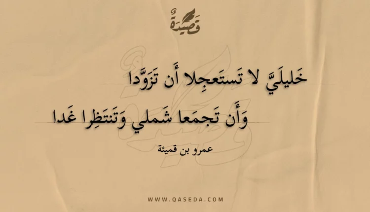 قصيدة خليلي لا تستعجلا أن تزودا