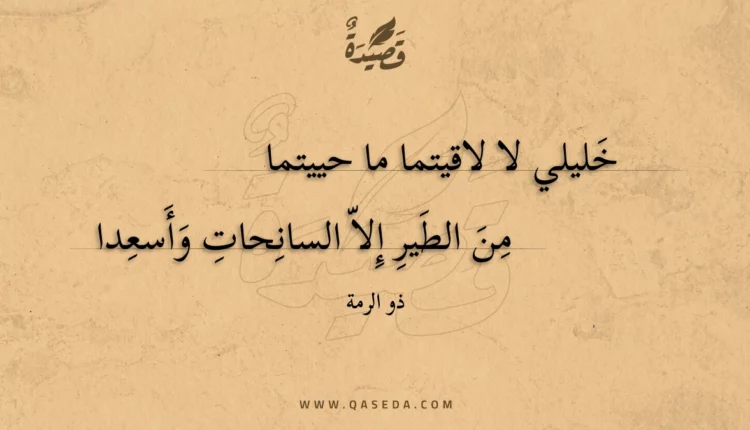 قصيدة خليلي لا لاقيتما ما حييتما