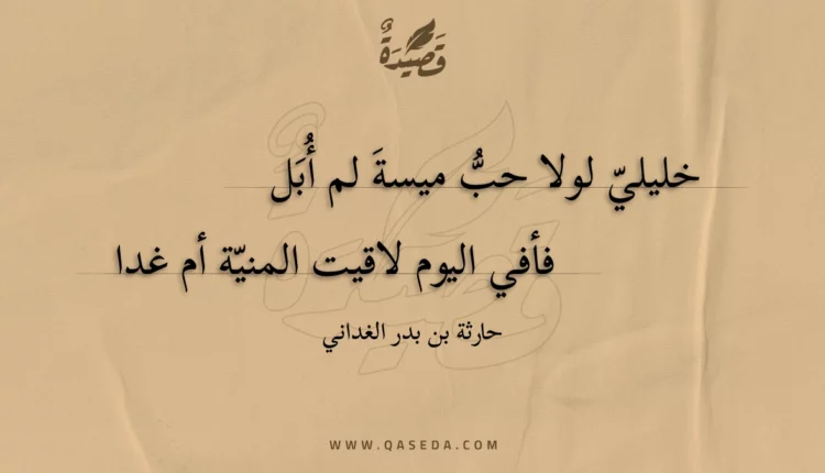 قصيدة خليلي لولا حب ميسة لم أبل