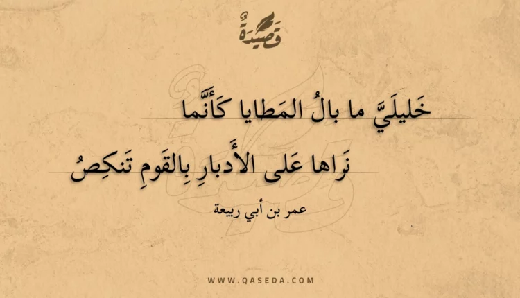 قصيدة خليلي ما بال المطايا كأنما