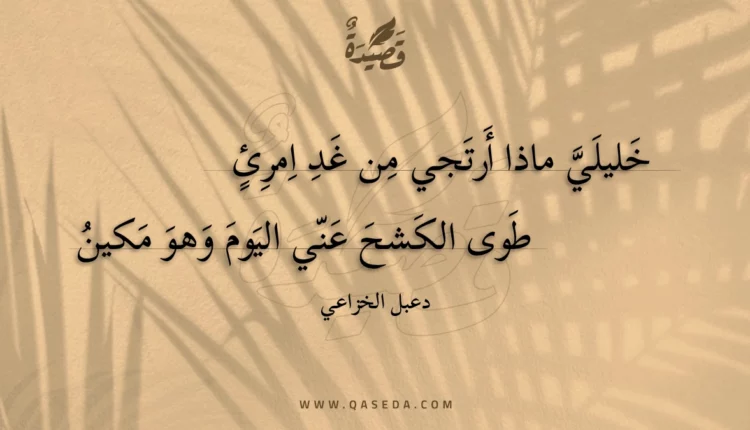 قصيدة خليلي ماذا أرتجي من غد امرئ