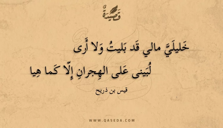 قصيدة خليلي مالي قد بليت ولا أرى