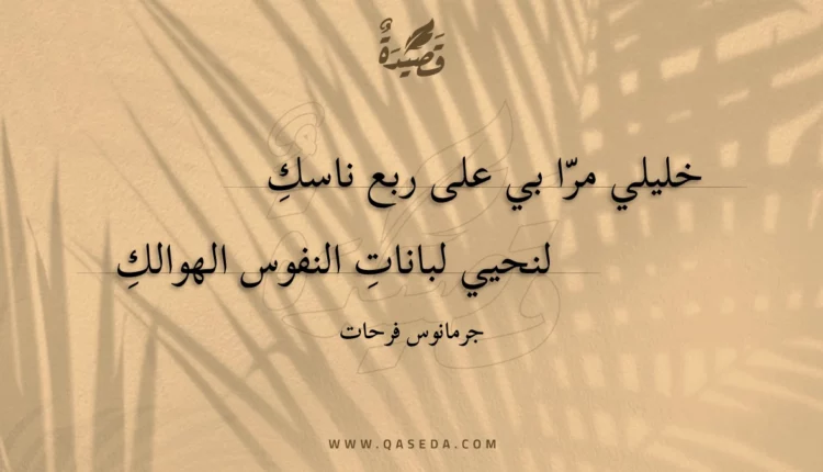 قصيدة خليلي مرا بي على ربع ناسك