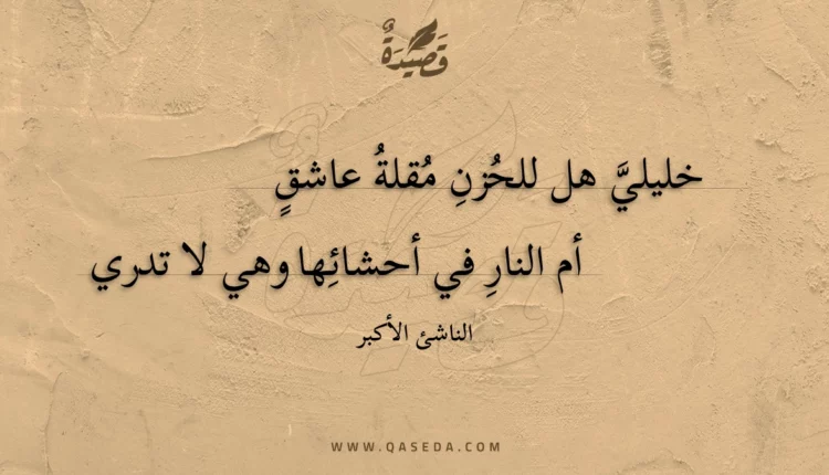 قصيدة خليلي هل للحزن مقلة عاشق