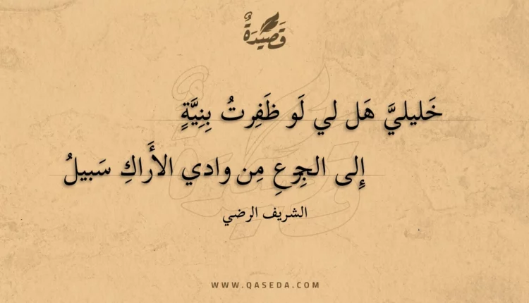 قصيدة خليلي هل لي لو ظفرت بنية