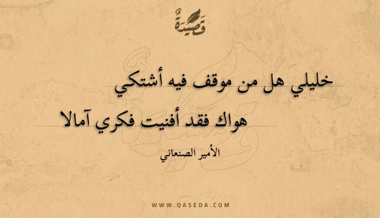 قصيدة خليلي هل من موقف فيه أشتكي