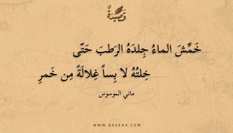 قصيدة خمش الماء جلده الرطب حتى