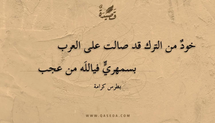قصيدة خود من الترك قد صالت على العرب