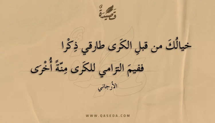 قصيدة خيالك من قبل الكرى طارقي ذكرا