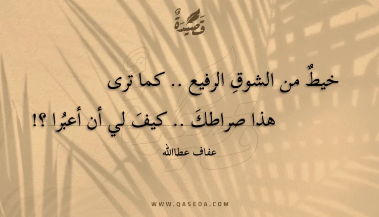 قصيدة خيط من الشوقِ الرفيع .. كما ترى