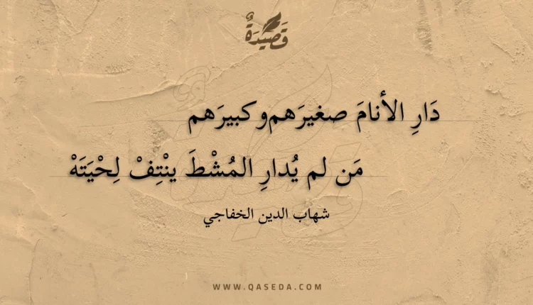 قصيدة دار الأنام صغيرهم وكبيرهم