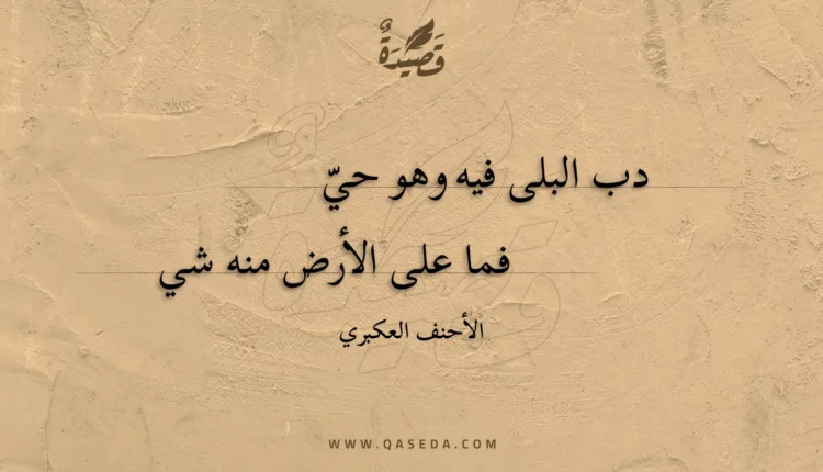 قصيدة دب البلى فيه وهو حي