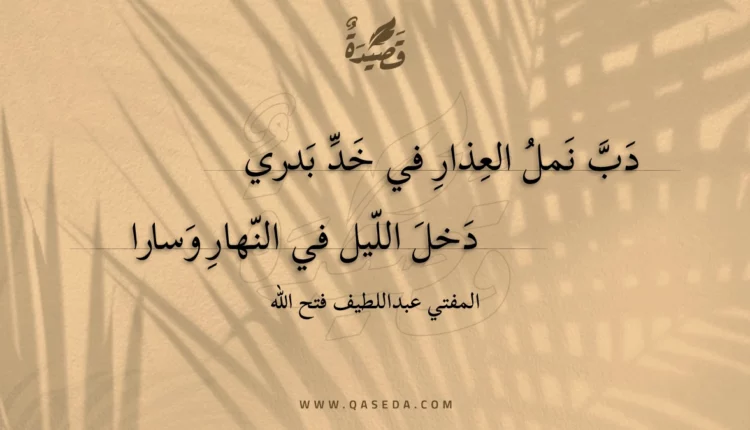 قصيدة دب نمل العذار في خد بدري