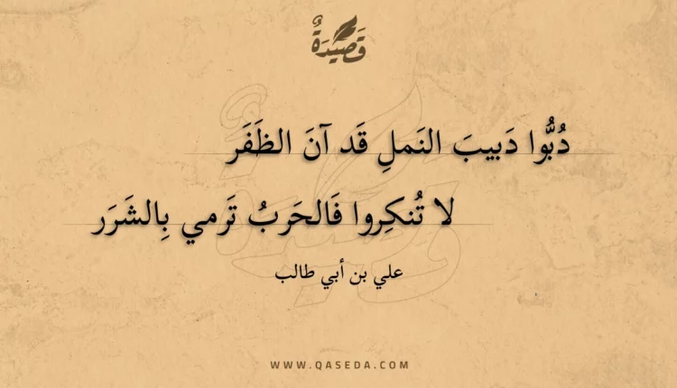 قصيدة دبوا دبيب النمل قد آن الظفر