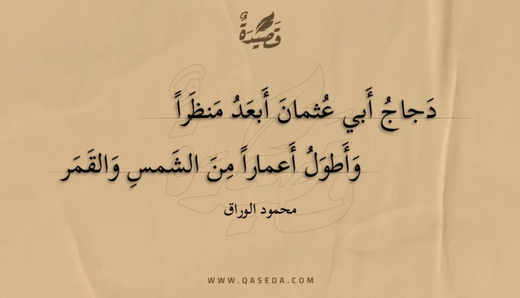 قصيدة دجاج أبي عثمان أبعد منظرا