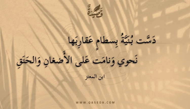 قصيدة دست بنية بسطام عقاربها