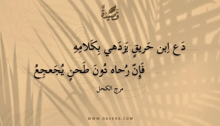 قصيدة دع ابن حريق يزدهي بكلامه