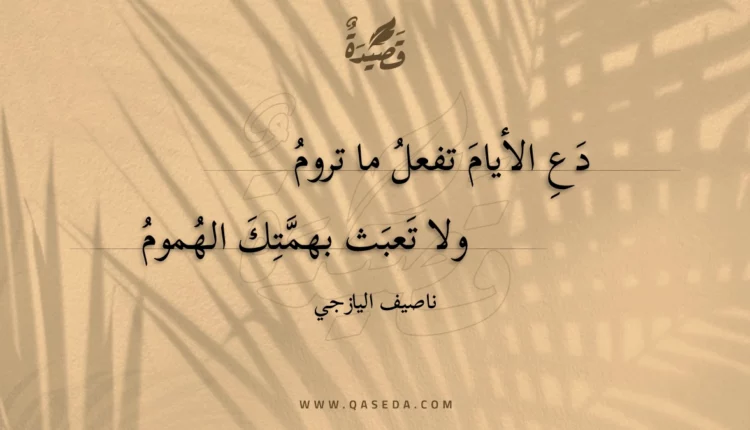 قصيدة دع الأيام تفعل ما تروم